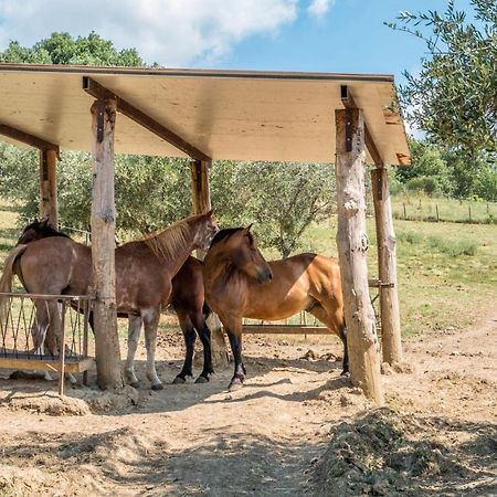 Agriturismo Goccia Di Luna أمبيرتيدي المظهر الخارجي الصورة