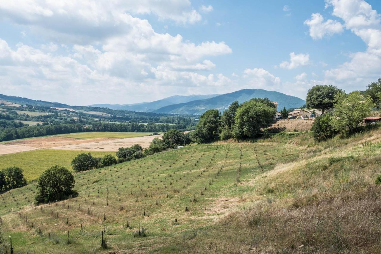 Agriturismo Goccia Di Luna أمبيرتيدي المظهر الخارجي الصورة