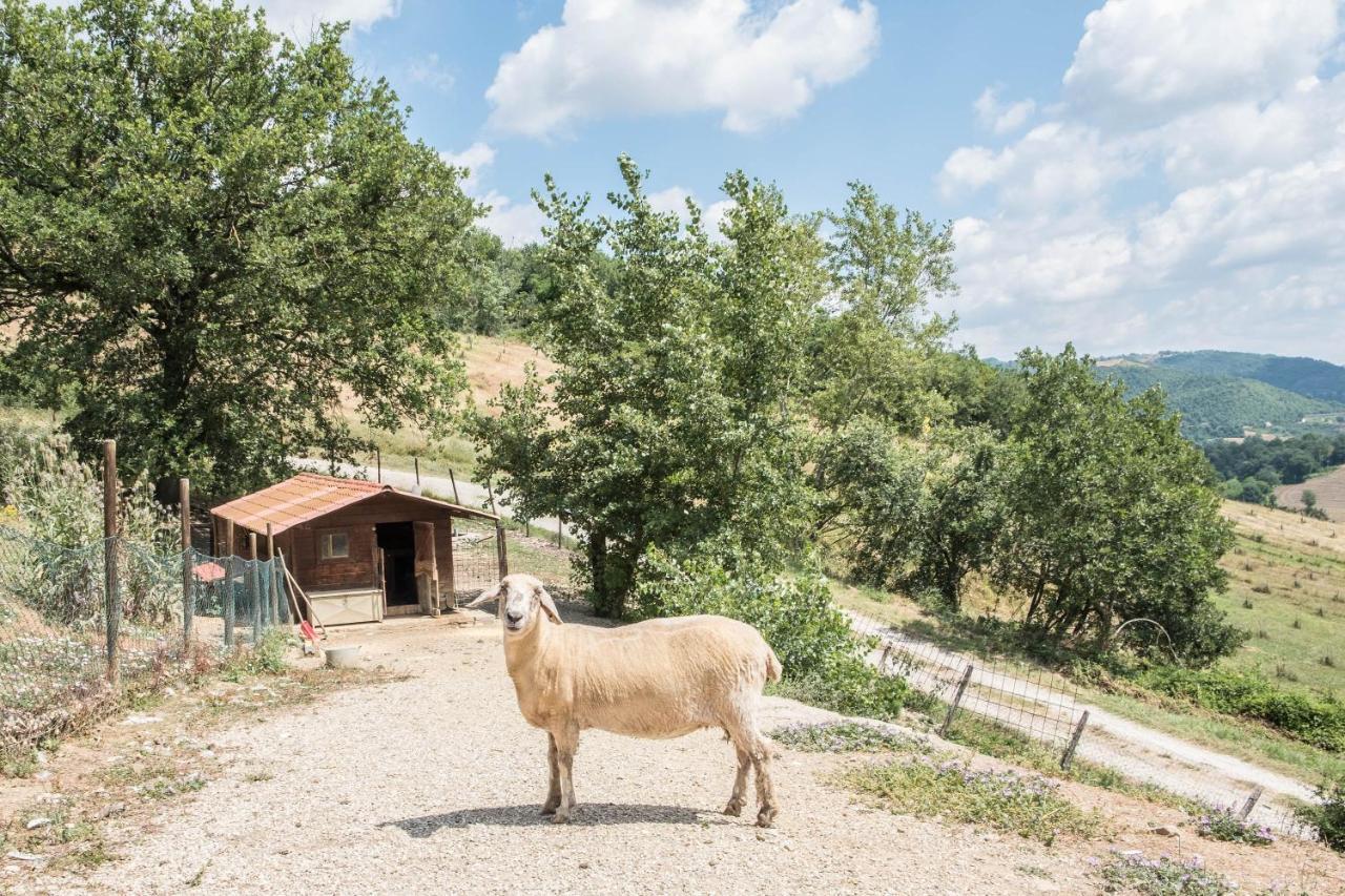 Agriturismo Goccia Di Luna أمبيرتيدي المظهر الخارجي الصورة
