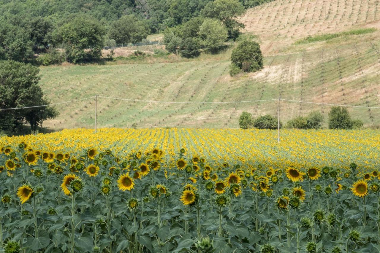 Agriturismo Goccia Di Luna أمبيرتيدي المظهر الخارجي الصورة
