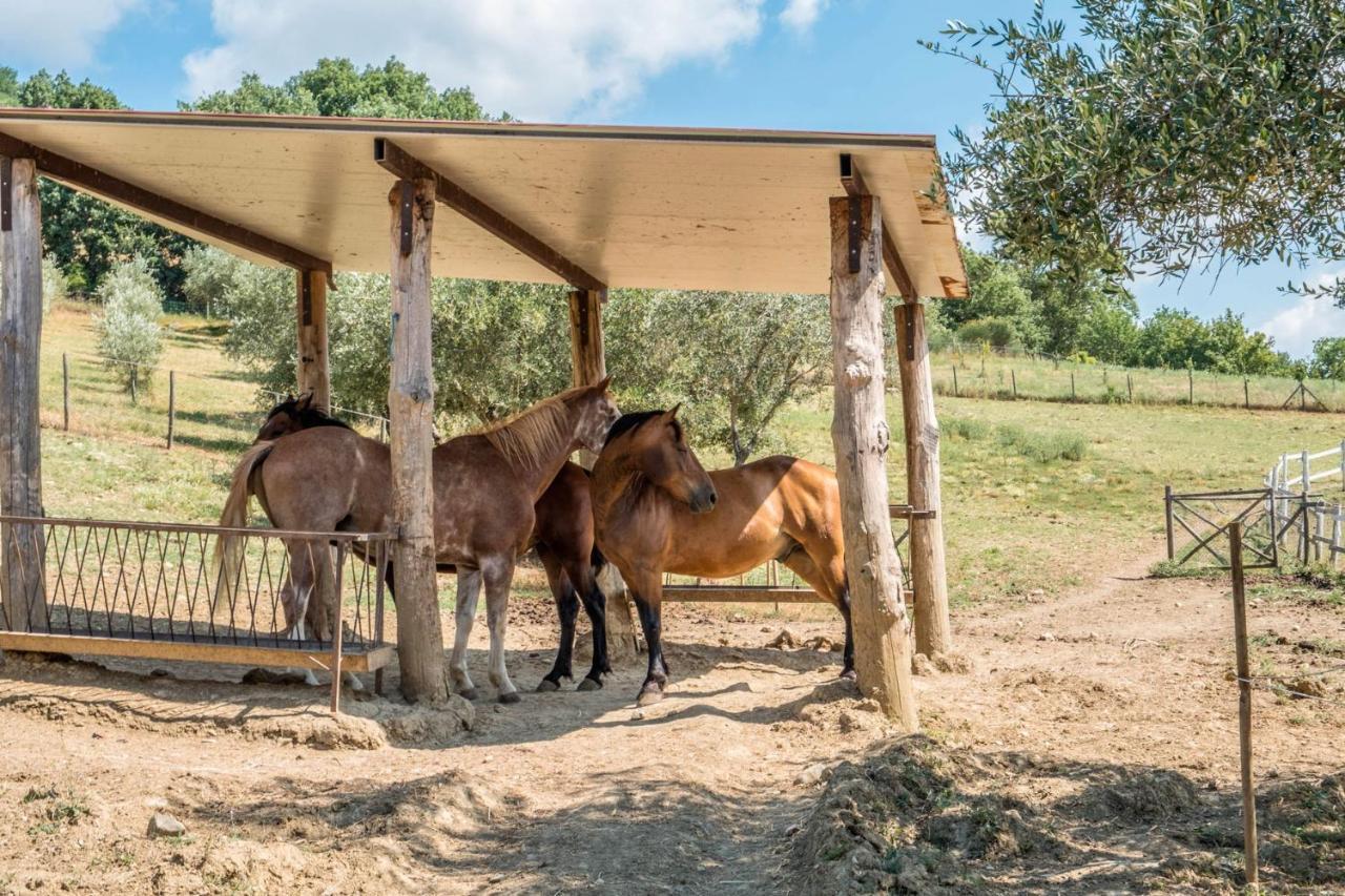 Agriturismo Goccia Di Luna أمبيرتيدي المظهر الخارجي الصورة