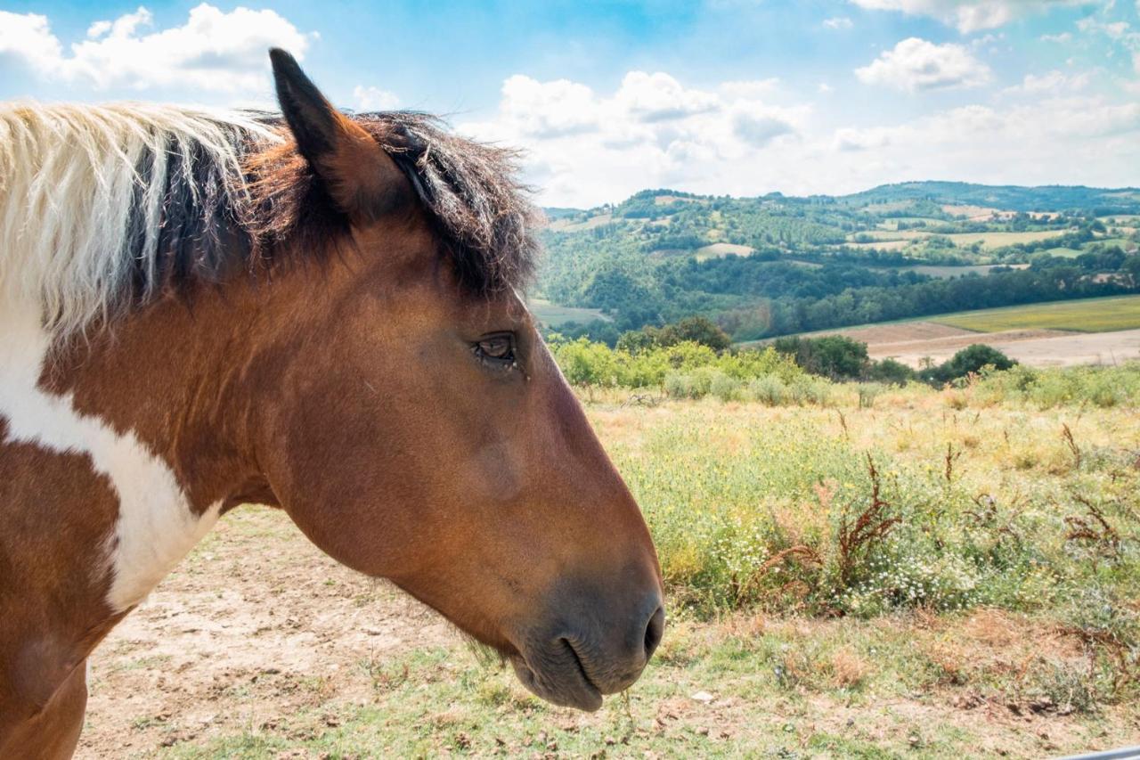 Agriturismo Goccia Di Luna أمبيرتيدي المظهر الخارجي الصورة