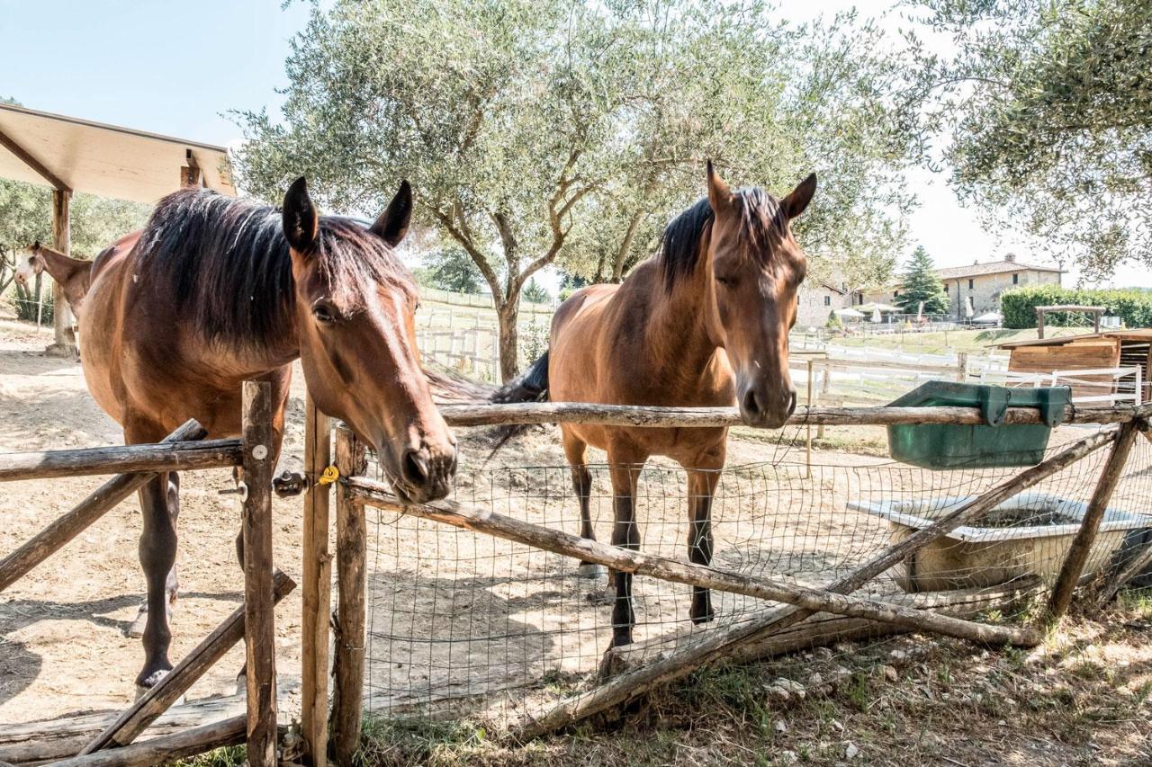 Agriturismo Goccia Di Luna أمبيرتيدي المظهر الخارجي الصورة
