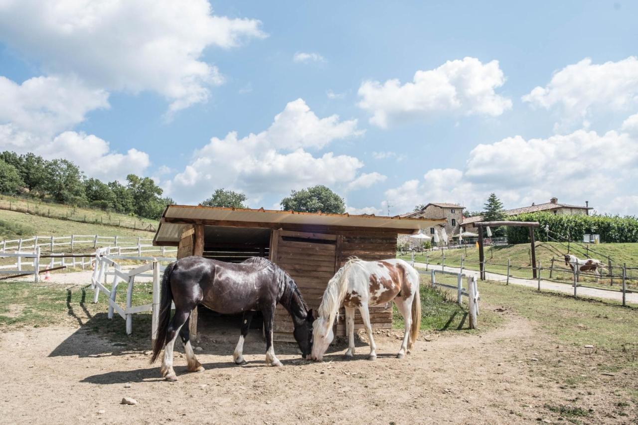 Agriturismo Goccia Di Luna أمبيرتيدي المظهر الخارجي الصورة